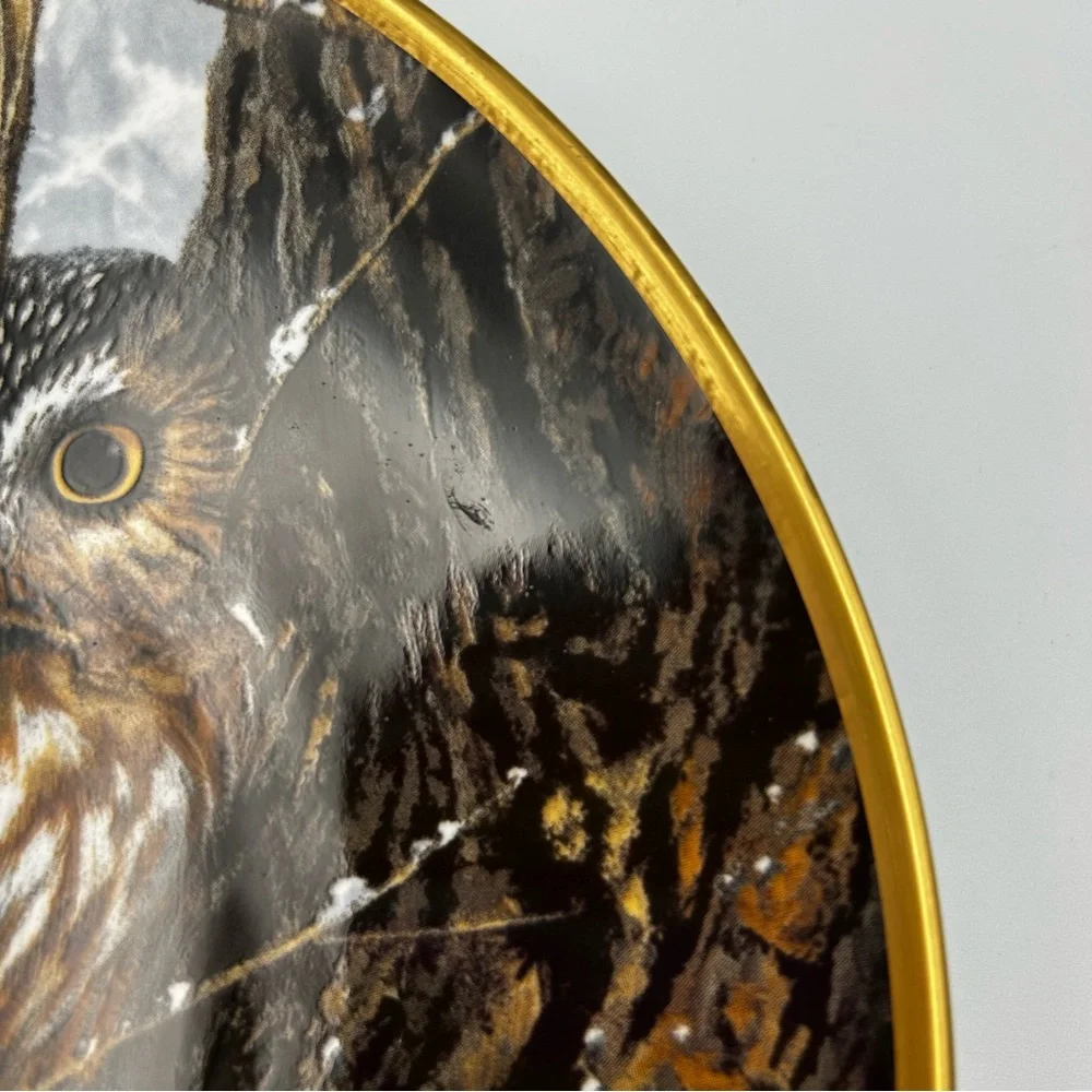 Spode Noble Owls of America Seerey-Lester Saw-whet Owl Art Decorative Plate LE